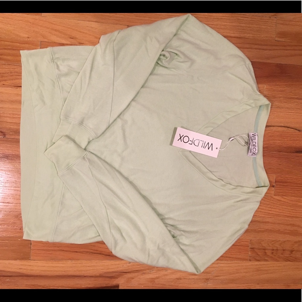 Wildfox Mint Green Vneck Sweater